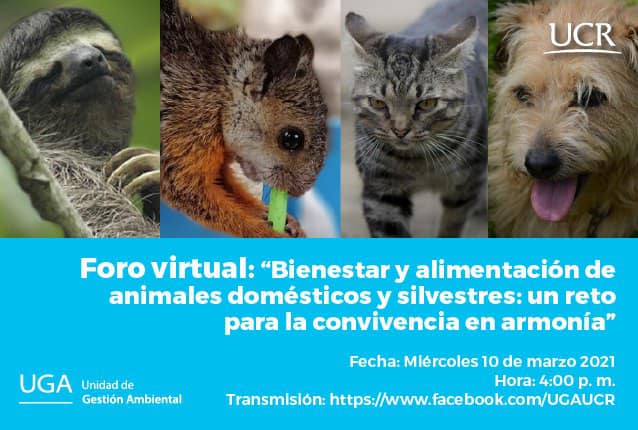 Foro: Bienestar y alimentación de animales domésticos y silvestres: un reto para la convivencia en armonía